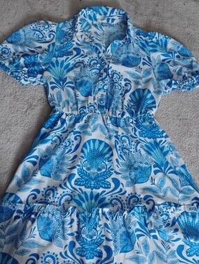 Charming Charlie Blue & White Floral Dress